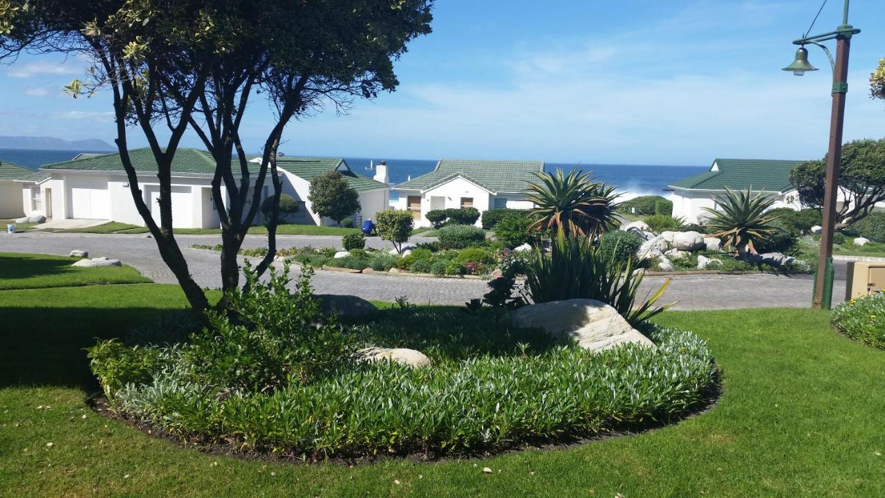 The Potting Shed Self Catering Apartment Hermanus Luaran gambar