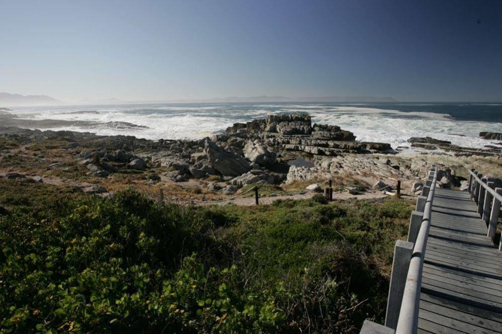 The Potting Shed Self Catering Apartment Hermanus Luaran gambar