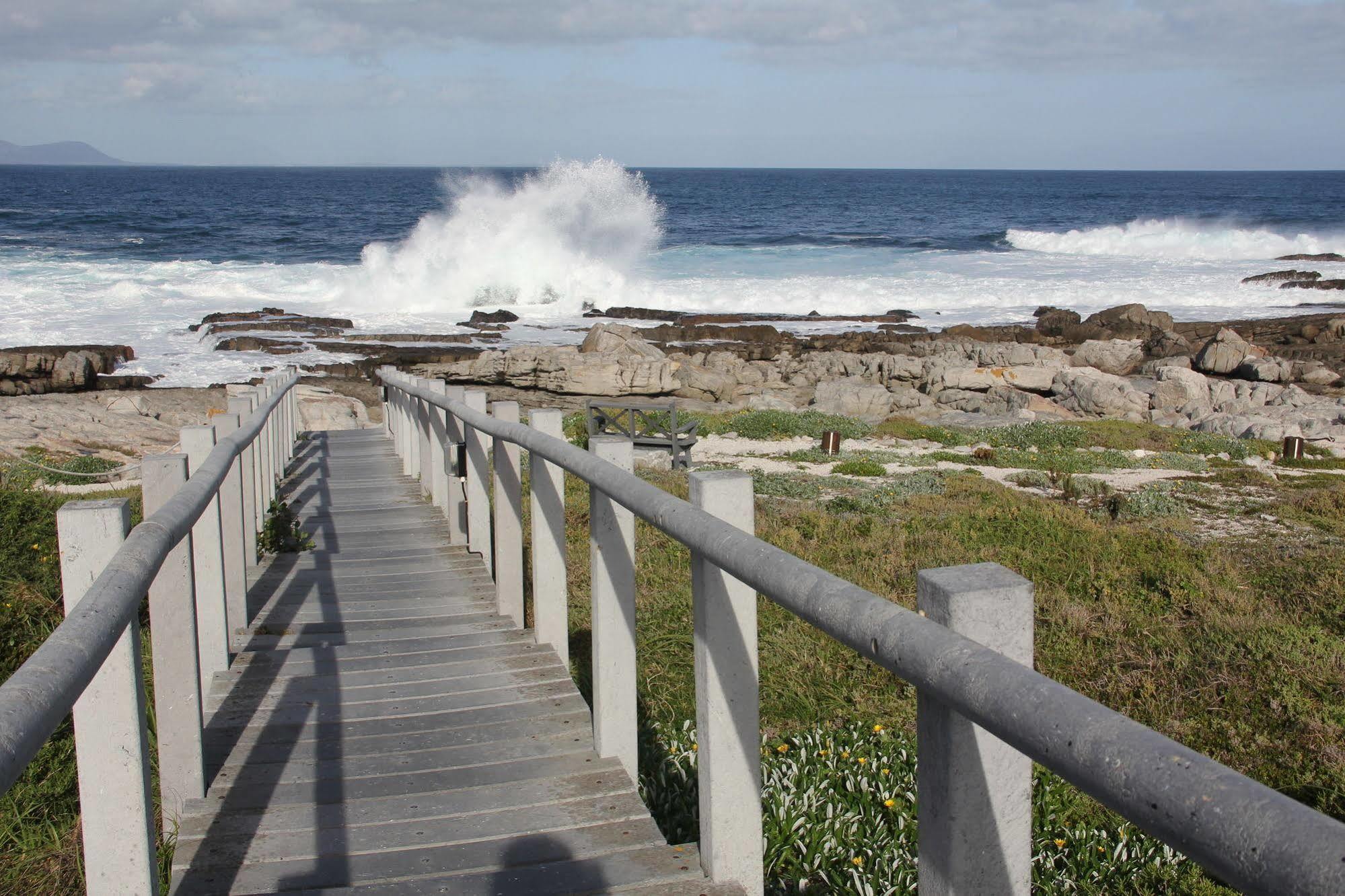 The Potting Shed Self Catering Apartment Hermanus Luaran gambar